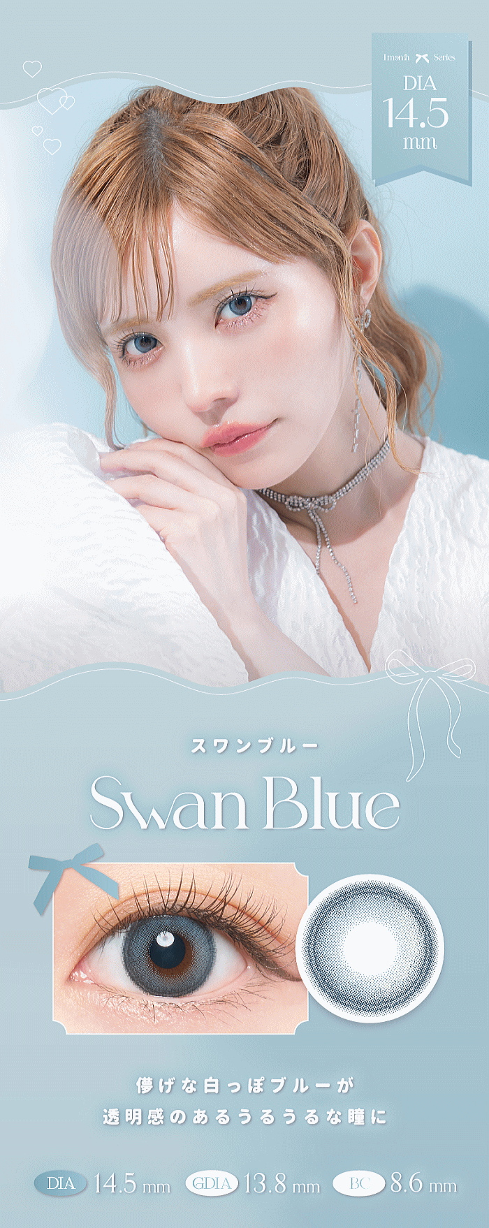 スワンブルーの紹介