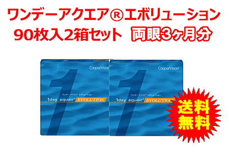 ワンデーアクエアエボリューション 90枚入2箱セット