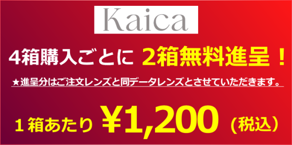 4+2キャンペーン