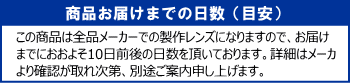 アイミーバイトーリックのお届けの目安