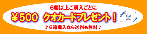 クオカードプレゼント