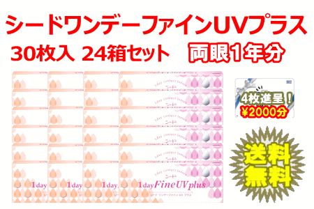 ワンデーファインUVプラス （plus）24箱セット