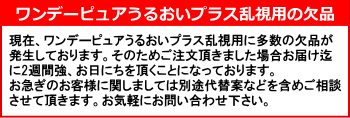 ワンデーピュアうるおいプラス乱視用欠品案内