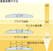 シードS-1のクラフト重合
