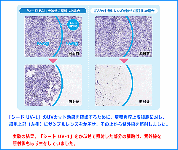 シードＵＶ-1のＵＶカット機能2